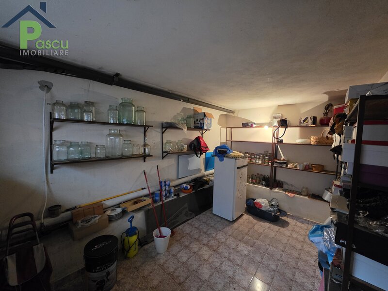 Vila Brancoveanu, Alunisului, S+P+1+M, 311 mpu, teren 200 mp, garaj